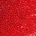2000pcs Glass Seed Beads Bulk, 4mm 6/0 Mini Pony Spacer Small Individual Color Seed Beads for DIY Bracelet Necklaces Wrist Jewelry Making, Translucent Crimson - color: Translucent Crimson