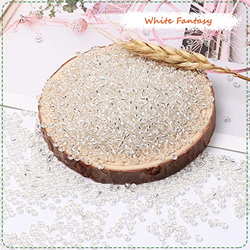 5000pcs White Glass Seed Beads Bulk, 3mm 8/0 Tiny Small Waist Spacer Seed Beads for Bracelets,Necklace,Jewelry Making DIY Craft Projects - color: White Fantasy, size: 3mm