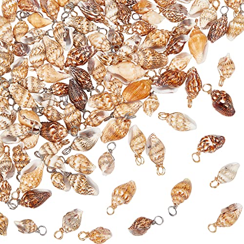 PH PandaHall Shell Pendants Spiral Seashells Craft Charms Cowrie Sea Shells Pendant Natural Shell Charms Conch Shells with Loop Bail - color: Golden/Silver, size: 0.7~0.9 inch