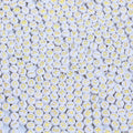 Acrylic Letter Beads Alphabet Gold Letters White Round Bead, 4×7mm 1200pcs, for Friendship Bracelet Jewelry Making Kit - color: Gold Letter White Beads, size: 4×7mm(Round)