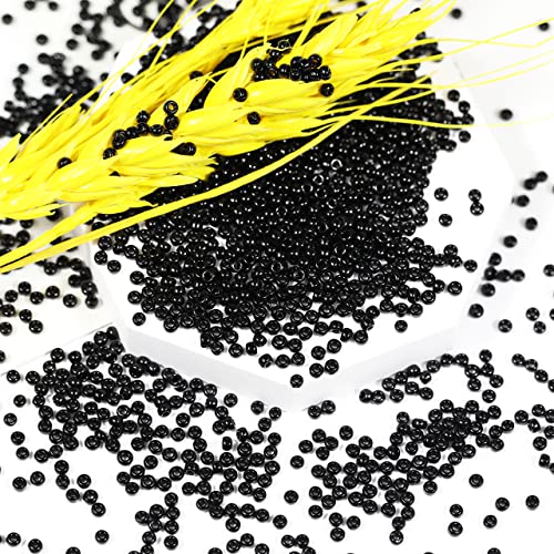 Bala&Fillic Size 2mm Seed Beads 10000pcs/110 Grams in Box 12/0 Black Seed Beads for Making Jewelry Earring Bracelets Necklace (Black) - color: Black