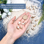 SUNNYCLUE 1 Box 16Pcs 4 Style Ocean Beach Spiral Seashells Craft Charms Connectors Pendant Conch Shells Charms with Plated Golden Loop Bail for Bracelet Necklace Making Craft Supplies - color: 1 Box 16pcs Conch Shell Charms