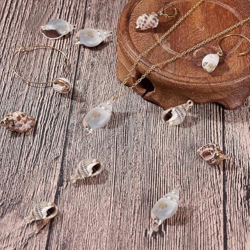 SUNNYCLUE 1 Box 16Pcs Oval Ocean Beach Spiral Seashells Craft Charms Connectors Pendant Conch Shells Charms with Plated Golden Loop Bail for Jewelry Bracelet Necklace Making Craft Supplies - color: 1 Box 16pcs Shell Charms