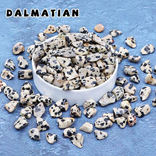 500 pcs Natural Chip Stone Beads, Dalmatian 5-8 mm Irregular Gemstones Healing Crystal Loose Rocks Bead Hole Drilled for Jewelry Making Bracelet - color: Dalmatian